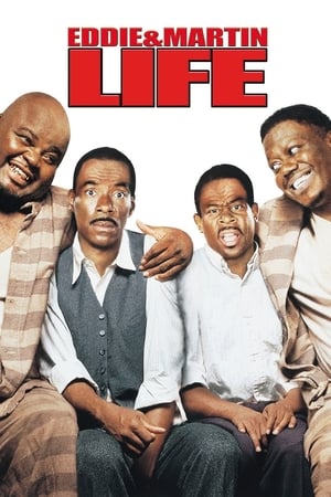 Life (1999) Hindi Dual Audio [1.3GB]